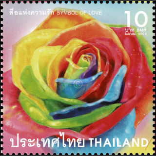 Valentines Day 2023: Rainbow Rose