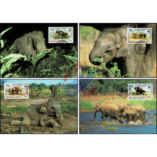 Weltweiter Naturschutz: Malaya-Elefant -MAXIMUM KARTEN MC(I)-