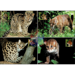 Weltweiter Naturschutz (VII): Kleinkatzen -MAXIMUM KARTEN MC(I)-