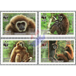 Worldwide Nature Conservation: Handed Gibbon