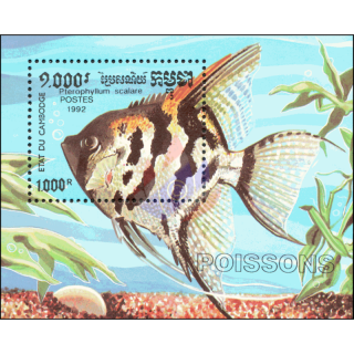Ornamental fish (III) (188)